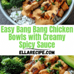 or Explosion for Beginner Cooks Print Recipe