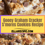 Graham Cracker S’mores Cookies Recipe