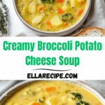 Easy Thai Coconut Chicken Soup Recipe