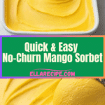 Mango Sorbet Recipe