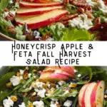 Autumn Harvest Honeycrisp Apple and Feta Salad Recipe
