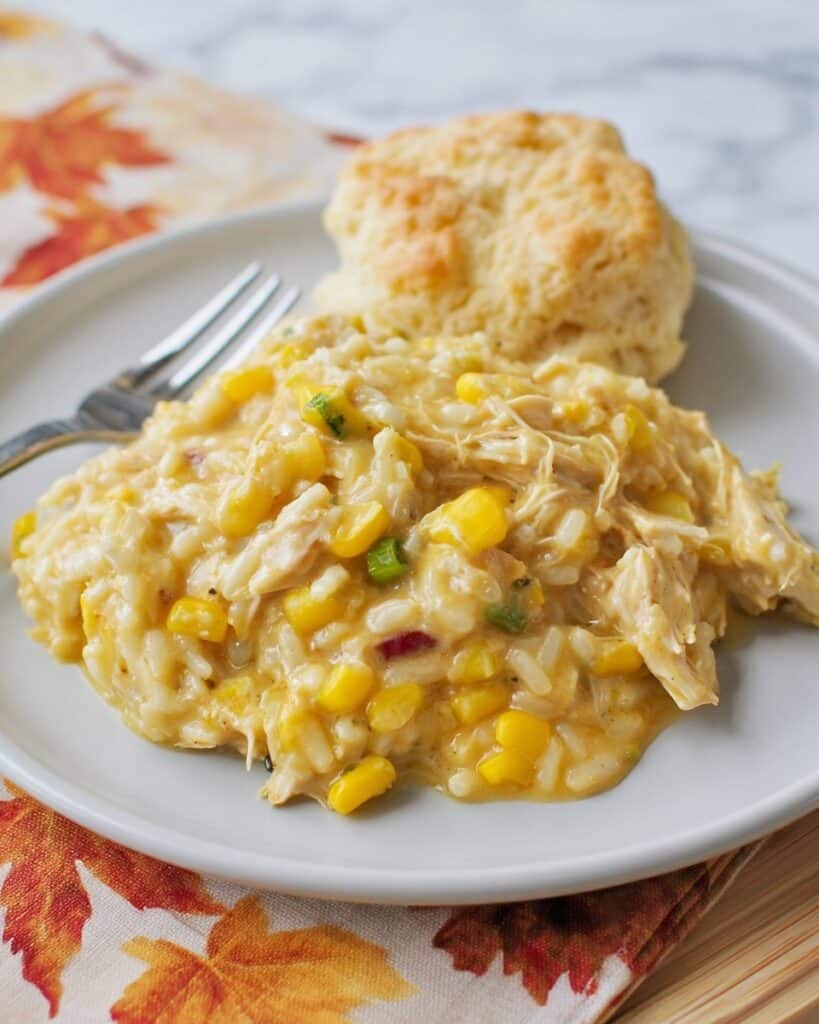 Slow Cooker Cheesy Chicken and Rice Recipe