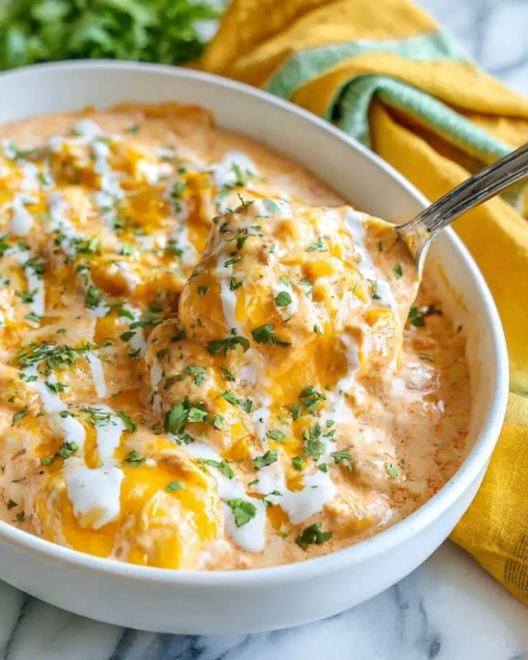 Creamy Salsa Chicken Recipe