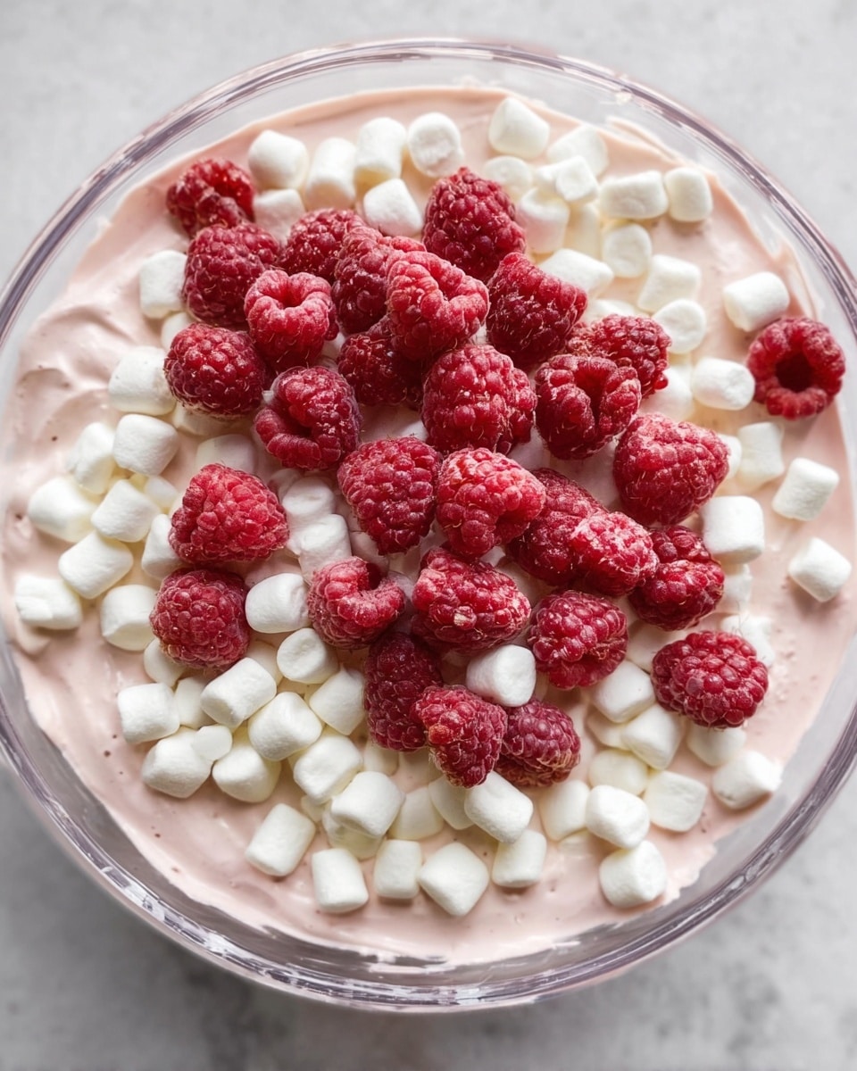 A clear bowl holds a mixture with three visible layers: the bottom layer is a smooth, light pink creamy base, followed by a thick layer of small white marshmallows spread evenly over it, and the top layer consists of bright red raspberries scattered over the marshmallows. The textures contrast between the creamy smoothness of the pink base, the soft puffiness of the marshmallows, and the bumpy surface of the raspberries. The bowl sits on a white marbled surface. photo taken with an iphone --ar 4:5 --v 7