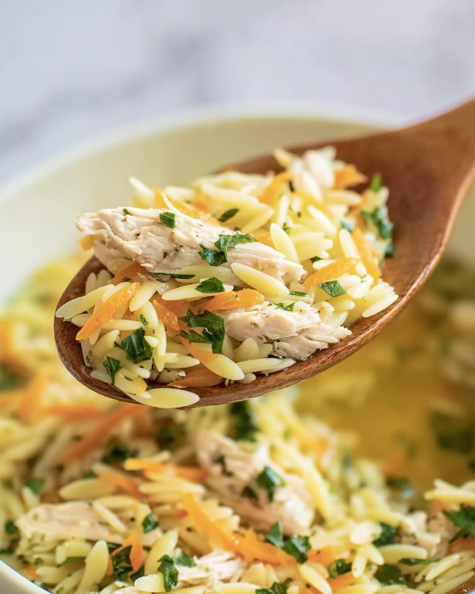A close-up view of a wooden spoon holding a mixture of light yellow orzo pasta, small pieces of white cooked chicken, thin shredded orange carrot, and small green leafy herbs. The spoon is lifted above a white bowl filled with the same mixture, set on a white marbled surface. The textures show soft pasta with a bit of shine, tender chicken, and fresh herbs scattered evenly. The colors are warm and natural, with a gentle focus on the spoon's contents, making the food look fresh and light. Photo taken with an iphone --ar 4:5 --v 7