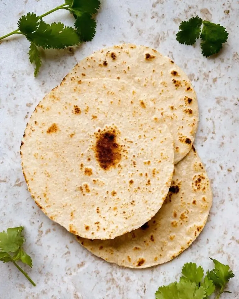 How To Make Homemade Corn Tortillas Recipe