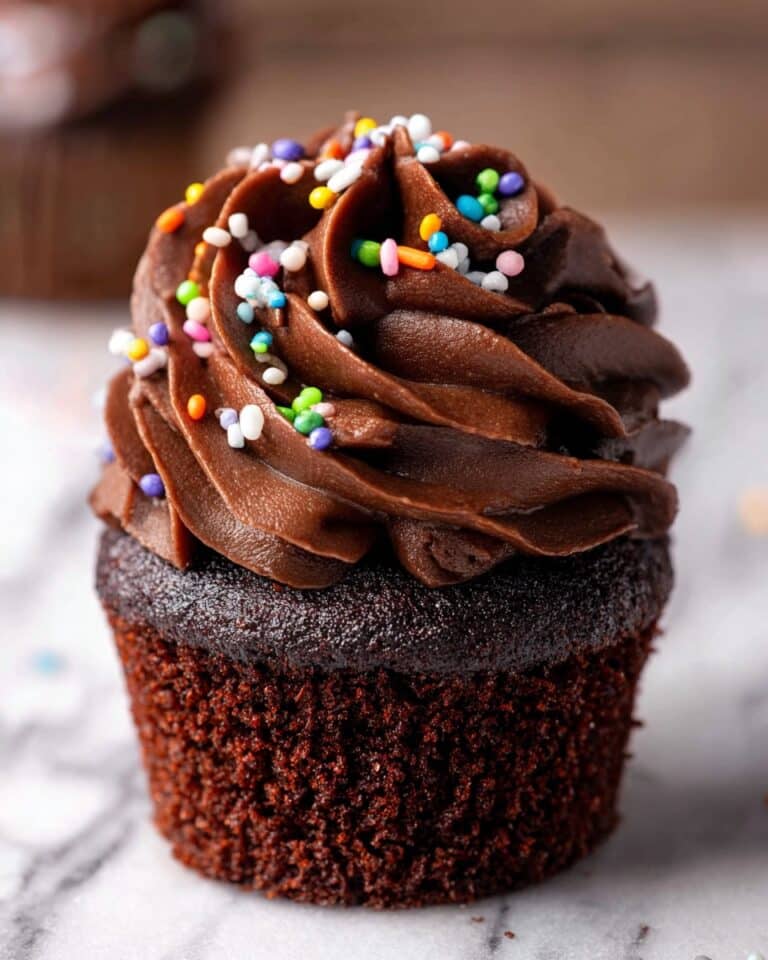 Double Chocolate Cupcakes Recipe